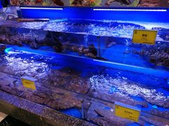 -新海渔港·胶东海鲜家常菜·家宴(奥体中心店)