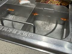 -海底捞火锅(枫蓝国际购物中心店)