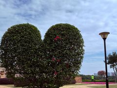 -东莞植物园