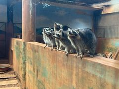 -昆明动物园
