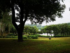 -福建鲤鱼洲酒店