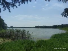 -上海海湾国家森林公园