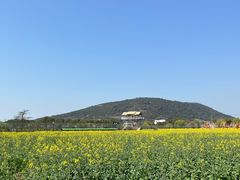 -苏州太湖西山岛开心农场
