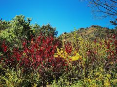 -北京鹫峰国家森林公园