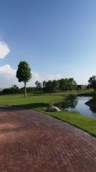 -圣露庄园·草坪婚礼·宴会厅·会议