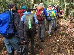 -乞力马扎罗山