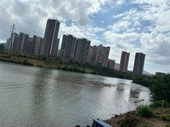 -大亚湾红树林城市湿地公园
