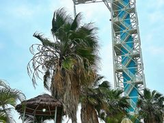 -巨鹏飞梦幻海岸