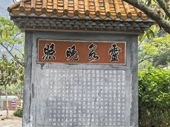 -靖西鹅泉风景区