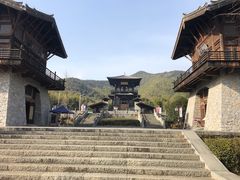 -大唐贡茶院
