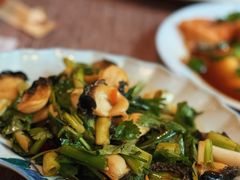 -一号铺子·大炉茶