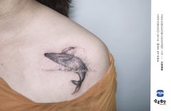 -MDZ STORE·TATTOO·耳饰