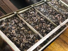 -罗源湾8号渔排