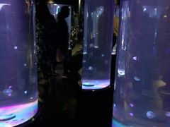 -悉尼海洋生物水族馆