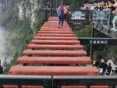 -梦幻奥陶纪景区