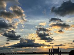 -宝安西湾红树林湿地公园