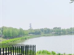 -尚贤河湿地