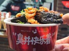 -黑色经典臭豆腐·湖南特产(坡子街特产局店)