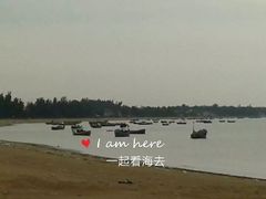 -临高角