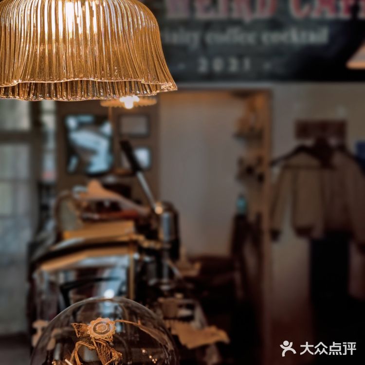威尔德Ⅰ极致复古网红咖啡馆