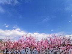 -大兴滨河森林公园