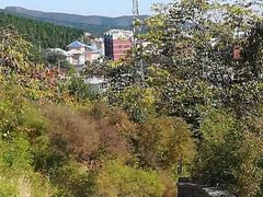 -府君山公园
