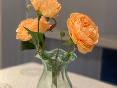 -御苑精品川菜馆(锦江店)