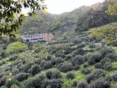 -东白山