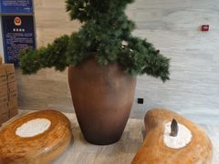 -全季酒店(北京朝阳公园店)