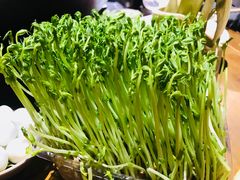 豆苗-白乐天毛肚火锅馆(解放碑店)