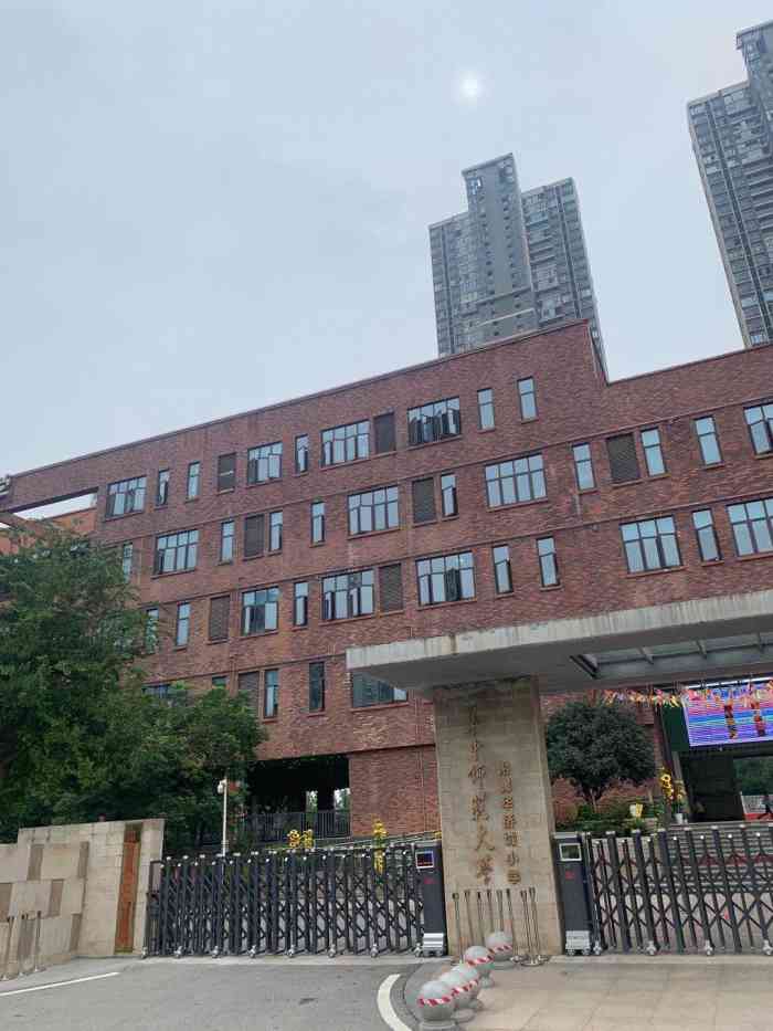 华中师范大学附属华侨城小学