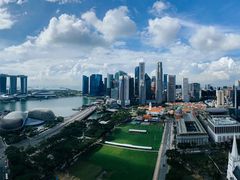 -新加坡瑞士史丹福酒店