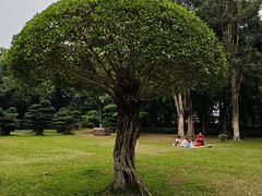 -南宁南湖公园