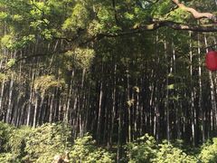 -杭州黄龙洞