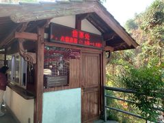 -千岛湖东南湖区