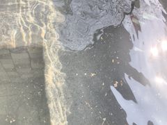 -三江森林温泉度假区