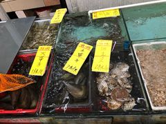 -鸿达渔港