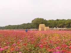 -南翔古镇