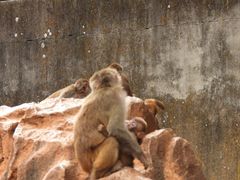 -昆明动物园