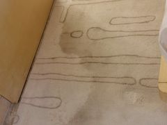 -河源万绿湖美思威尔顿酒店