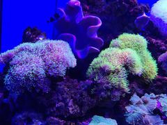 -多彩贵州城极地海洋世界