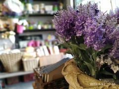 -桂林市花鸟市场