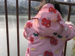 -光明港公园