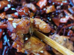 歌乐山辣子鸡-林中乐辣子鸡(歌乐山总店)