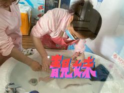 -东方幸福国际母婴月子会所(沙湾公园店)