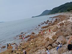 -杨梅坑