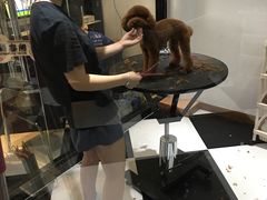 -Oh My Dog宠物沙龙(伊珊娜皮毛护理店)