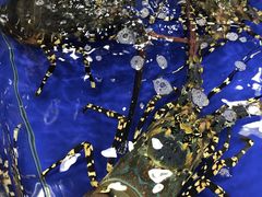 -东江海鲜酒家(艺都分店)