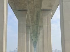-中澳友谊花园