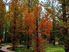 -国家植物园南园